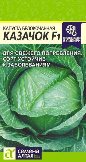 Капуста Казачок F1 белокочанная Семена Алтая