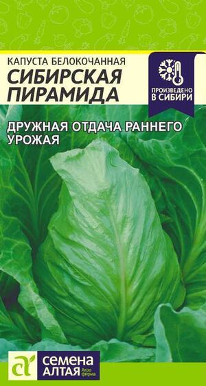 Капуста Сибирская Пирамида белокочанная Семена Алтая