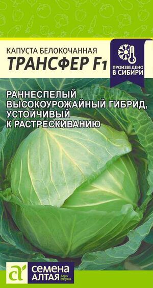 Капуста Трансфер F1 белокочанная Семена Алтая