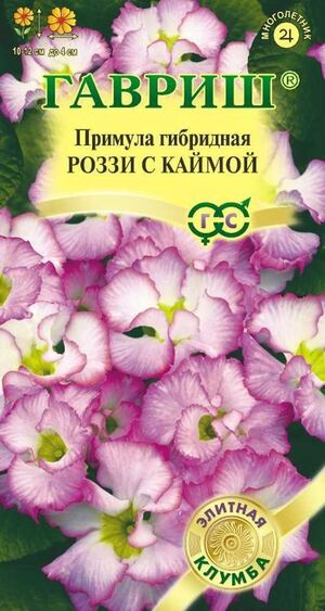 Примула Роззи с каймой, махровая серия Элитная клумба Гавриш