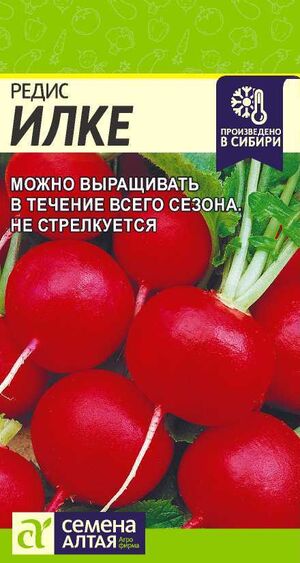Редис Илке Семена Алтая