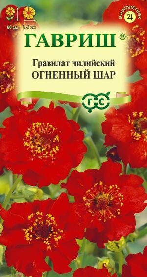 Гравилат Огненный шар, чилийский Гавриш