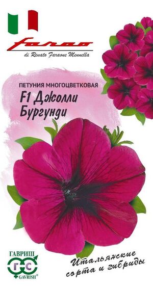 Петуния Джолли Бургунди F1 многоцветковая многоцветковая серия Фарао Гавриш