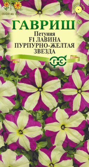 Петуния Лавина Пурпурно-жёлтая Звезда F1 ампельная Гавриш