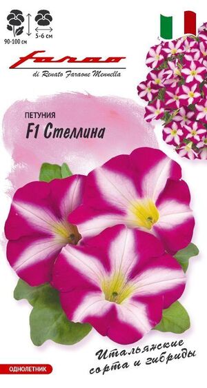 Петуния Стеллина F1 многоцветковая серия Фарао Гавриш