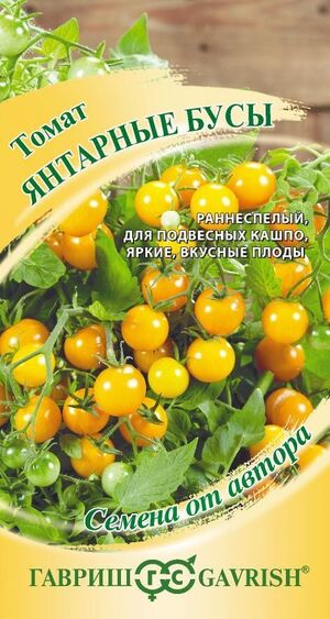 Томат Янтарные Бусы серия от Автора Гавриш