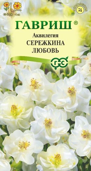 Аквилегия Сережкина любовь, обыкновенная Гавриш