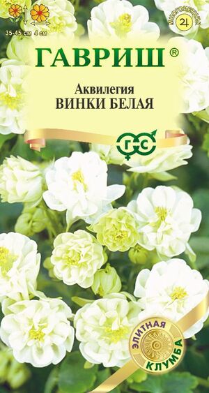 Аквилегия Винки белая, обыкновенная серия Элитная клумба Гавриш