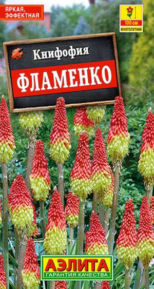 Книфофия Фламенко ягодная многолетник Аэлита