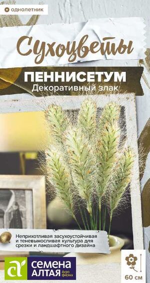 Пеннисетум Мохнатый злак декоративный Семена Алтая