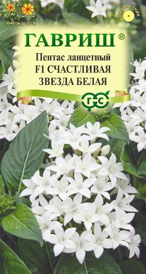 Пентас ланцетный Счастливая Звезда Белая F1, гранулы пробирка Гавриш