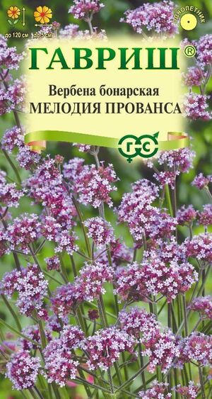 Вербена Бонарская Мелодия Прованса Гавриш