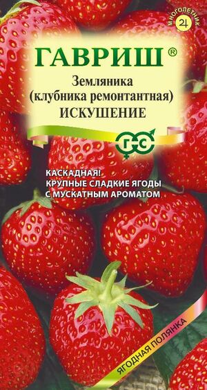 Земляника (Клубника) Искушение ампельная Гавриш