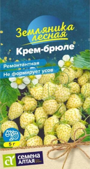 Земляника Крем-брюле желтая ремонтантная Семена Алтая