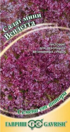 Салат Вендетта Гавриш