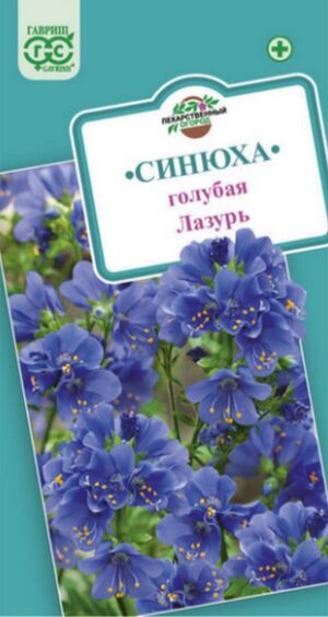 Синюха голубая Лазурь Гавриш