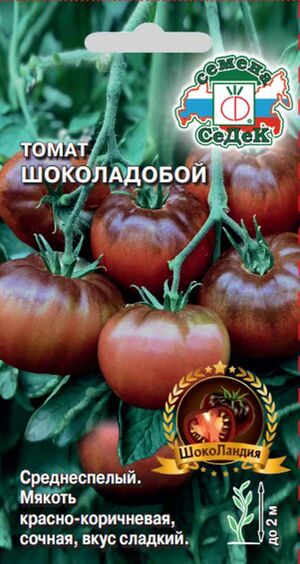tomat-shokoladoboj-sedek