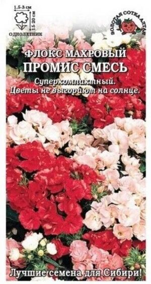Флокс Промис Смесь Золотая Сотка Алтая