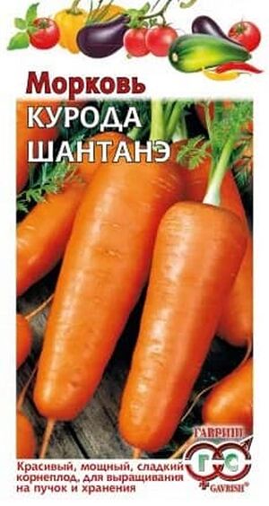 Морковь Курода Шантанэ Гавриш