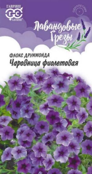 Флокс Друмонда Чаровница фиолетовая серия Лавандовые грезы Гавриш