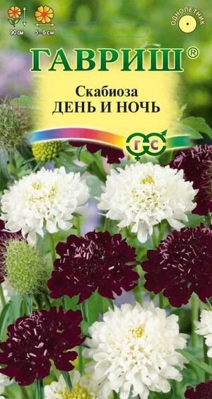 Скабиоза Пурпурная День и Ночь смесь Гавриш