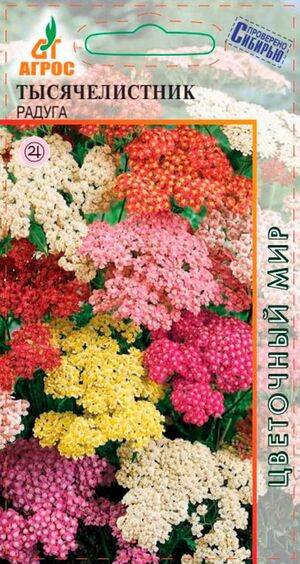 Тысячелистник Радуга Агрос