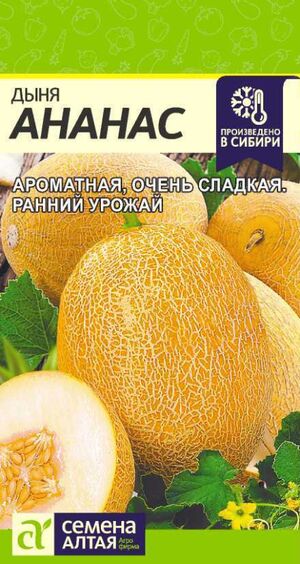 Дыня Ананас Семена Алтая