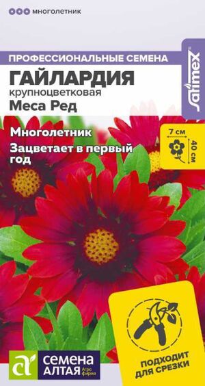 Гайлардия Меса Ред Семена Алтая
