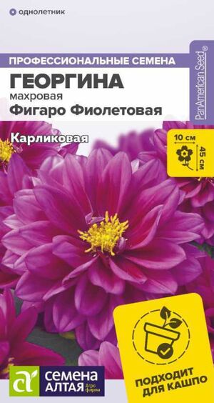 Георгина Фигаро Фиолетовая махровая Семена Алтая
