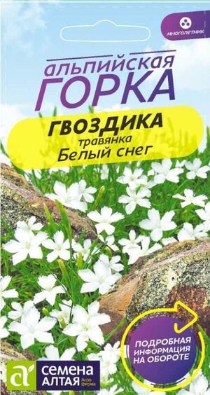 Гвоздика Травянка Белый Снег Семена Алтая