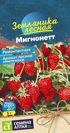 Земляника Мигнонетт ремонтантная Семена Алтая