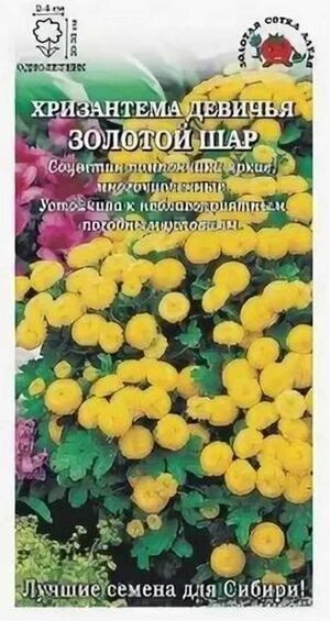 Хризантема Золотой Шар Золотая Сотка Алтая