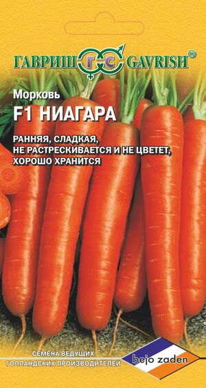 Морковь Ниагара F1 Голландия Гавриш