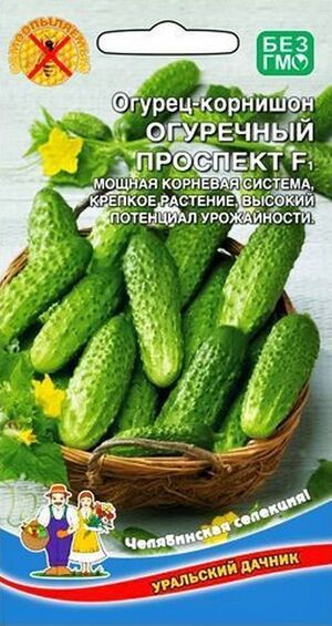 Огурец Огуречный Проспект корнишон F1 Уральский Дачник