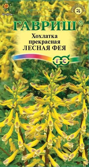 Хохлатка прекрасная Лесная Фея Гавриш