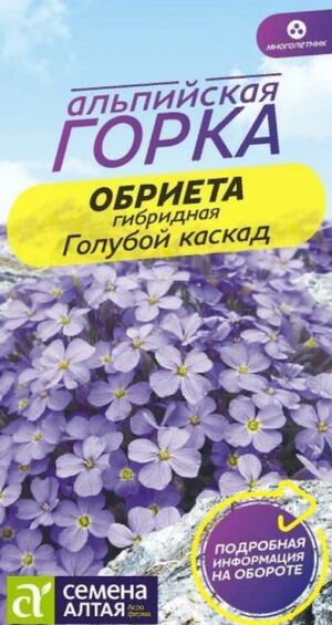 Обриета Голубой каскад Семена Алтая