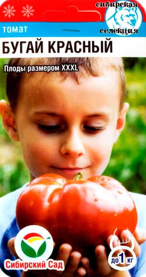Томат Бугай Красный Сибирский Сад