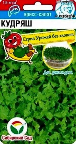 Кресс-салат Кудряш Сибирский Сад