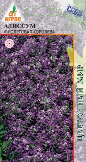 Алиссум (Лобулярия) Фиолетовая Королева Агрос