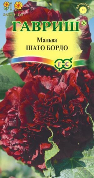Мальва (Шток-роза) Шато Бордо Гавриш