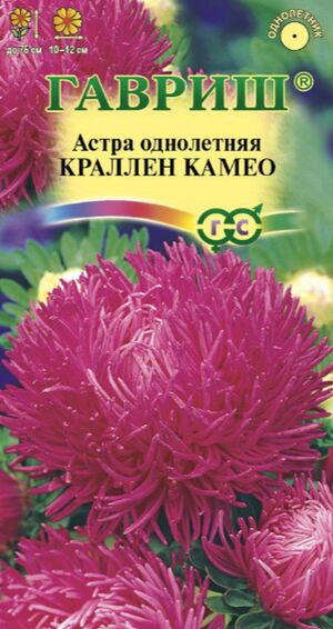 Астра Краллен Камео коготковая темно-розовая Гавриш