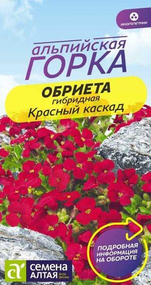 Обриета Красный каскад Семена Алтая
