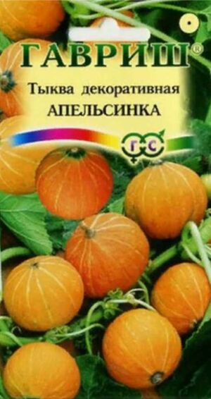 Тыква декоративная Апельсинка Гавриш