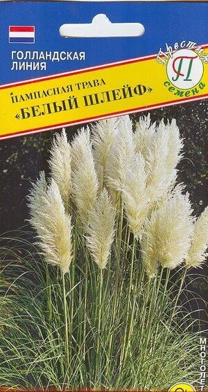 Пампасная трава Белый Шлейф однолетник Престиж Семена