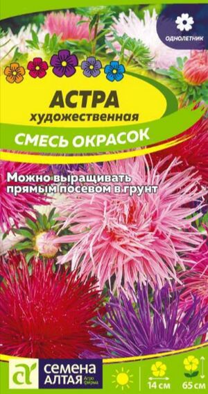 Астра Художественная Смесь Окрасок Семена Алтая