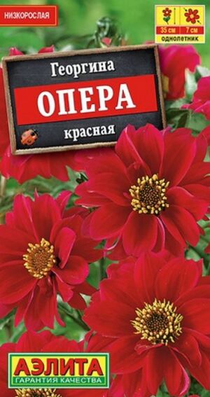 Георгина Опера Красная Аэлита