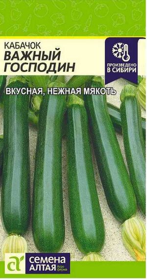 Кабачок Важный Господин Семена Алтая
