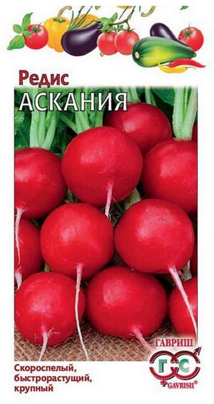 Редис Аскания Германия Гавриш