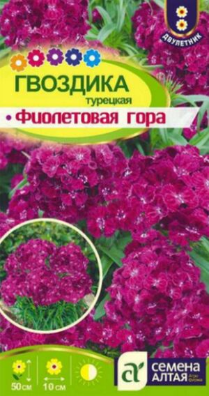 Гвоздика Турецкая Фиолетовая Гора Семена Алтая