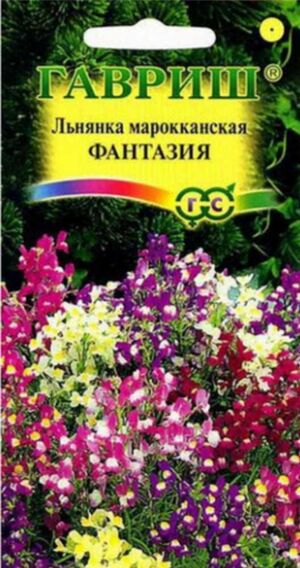 Льнянка Марроканская Фантазия Заморозь Гавриш